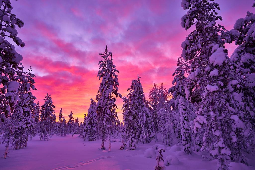 Lapland Guesthouse Kangos Exterior foto